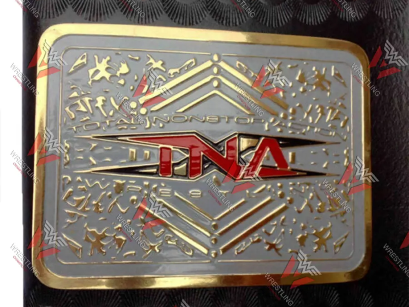 X Division TNA Wrestling Championship Replica Title Belt