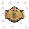 Winged Eagle Heavyweight Wrestling Championship Replica Title Belt