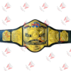 World Six Man Tag Team ROH Championship Wrestling Title Belt