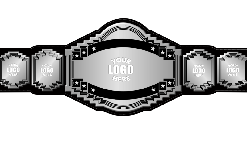 Customize Your Wrestling Title Silver Belt
